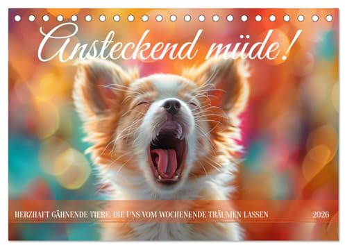Ansteckend müde! (Tischkalender 2026 DIN A5 quer), CALVENDO Monatskalender: Gähnen Deluxe: Ein Jahr voller ansteckender Tiermüdigkeit (CALVENDO Tiere)