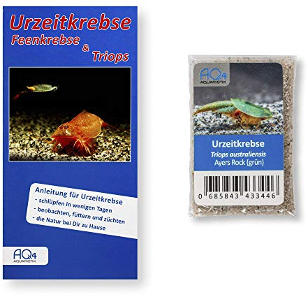AQ4Aquaristik Triops australiensis Ayers Rock (grün) RARITÄT (Zuchtansatz) mit Anleitung - Eier in Sand