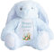 Personalised Easter Bunny with Name - Happy Easter Egg Basket Blue - Soft Toy for Baby, Toddler, Child, Kids, Babies Spring Time - Blue Letter Blu Bunny