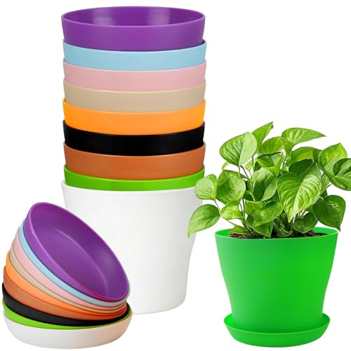 ZoneYan 10 Vasi da Fiori con Sottovaso, Colori Vasi Plastica, Piccoli Vaso Plastica, Rotondi Vassoi, Colori Vasetti Piantine, Vasi per Piante con Sottovaso, Piccoli Vaso Vivaio, Vassoi Fiori Esterno