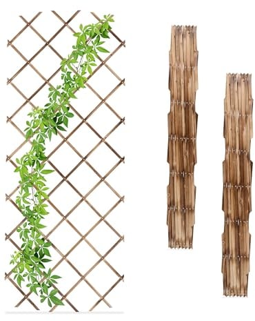 Relaxdays Grigliato in Legno per Rampicanti Allungabile 180x90 cm, Set 3 Tralicci Piante da Giardino e Balcone, Fiammato, 70 x 230 x 1.5 cm