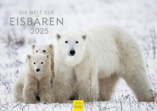 Edition Seidel Premium Kalender Die Welt der Eisbären 2025 Format DIN A4 Wandkalender Tierkalender Nordpol Grönland Eis Bär Polarbär Raubtier