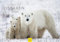 Edition Seidel Premium Kalender Die Welt der Eisbären 2025 Format DIN A4 Wandkalender Tierkalender Nordpol Grönland Eis Bär Polarbär Raubtier