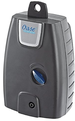 Oase
