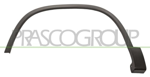 Prasco Black Modern Wheel Arch Strip Front Left
