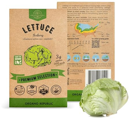 Lettuce Iceberg Seeds Pack 3G - Over 3,100 Non-GMO Heirloom Lettuce Seeds for Planting Greens in Individual Seed Packet, Greens Seeds for Planting Home Garden Indoor & Outdoor Gardening