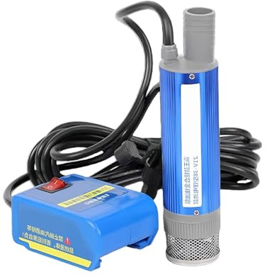 Fast Flows Electric Transfer Pumps Short Circuits Safe Water Pumping High Efficiency Water Equipment for Car Outdoor Not Power Pumps