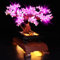 Led Licht Set für Lego Bonsai Baum, Led Beleuchtungs für Lego 10281 Tree Icons Botanik-Kollektion, Home Deko - Nur Lichter, kein Lego-Modell