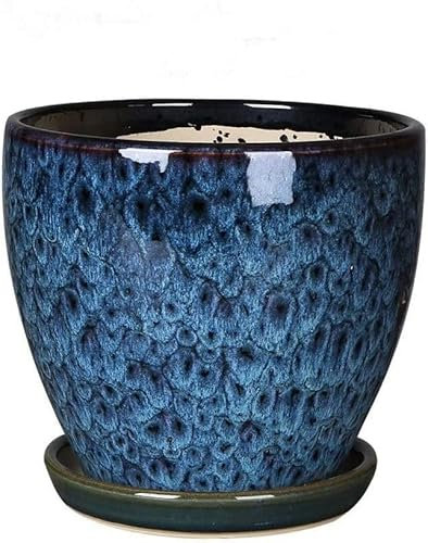 Plant pot indoor,Large Plant Pots, Flowerpots,Desktops Peacock Blue Flowers Clivia Succulent Green Plant Pots Household Round with Split Tray Drainage Hole Bonsai Pots(Size:Ssize : 16.5cm*16cm)