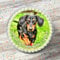 Dachshund Sausage Dog Happy Birthday Personalised 7.5 Inch Round Edible Icing Cake Topper Decoration