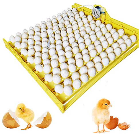 Incubadora automática de 48 Huevos de Pollo Bandeja incubadora de Huevos con Motores de 220voltios (154 + 220v Motor)