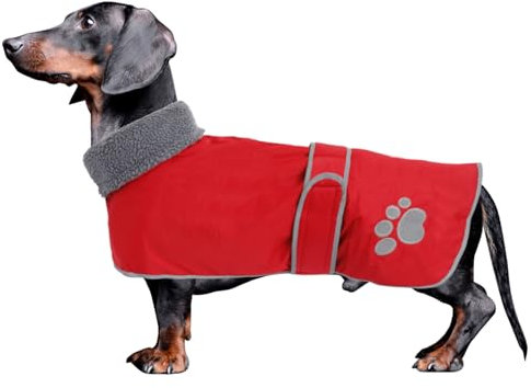 Geyecete-Hunde Wintermantel fur Dackel,Hundejacken mit plüschfutter und Kabelbaumloch,Wasserdichter winddicht, reflektierend Outdoor Hundekleidung fur mittel und Kleiner Dackel Hund-Rot-XL
