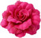 Broches Délicates En Forme De Pivoine,Élégantes et belles épingles à revers - Pour robe, cérémonie, vêtements, accessoires de (Rouge)