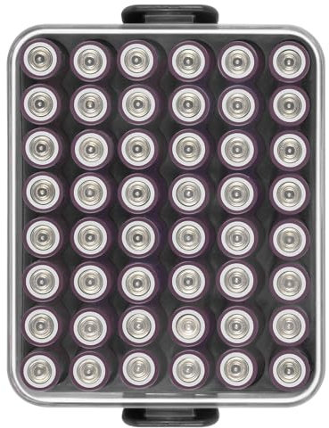 Batterie Organizer Aufbewahrungskoffer, Batterie Vault Box Container für 48pcs AAA Batterien, Kunststoff Clear schützender Batteriehalter für Reisen/Haus/Büro (Schwarz, S)