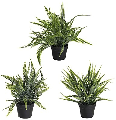 FloristryWarehouse Künstlicher Farn, im Topf, 23 cm hoch, 3 Stück