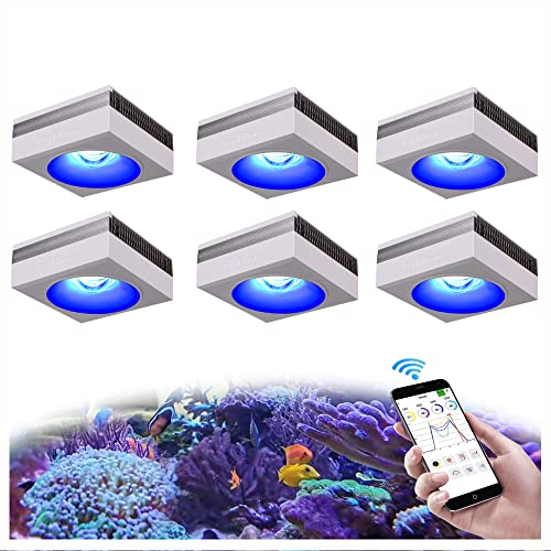 PopBloom RL90 WiFi Reef Lampen 600Watts Meerwasser Led Aquarium Beleuchtung, App Kontrolle IOS Android Programm Salzwasser Riff Aquarium Beleuchtung für Korallenriff SPS/LPS Marine Fisch Tank