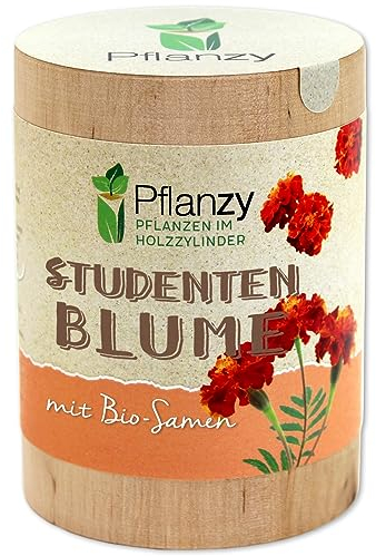 Feel Green Pflanzy Studentenblume, Bio Samen, Nachhaltige Geschenkidee (100% Eco Friendly), Grow Your Own/Anzuchtset, Pflanzen im Holzzylinder, Made in Austria