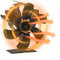 AmoJLnks Ventilateur de poêle à bois à 6 lames, fonctionnement silencieux, alimenté par la chaleur, respectueux de l'environnement, circulation efficace, pour la maison, le bois ou les cheminées