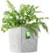 KADAX Blumentopf aus Kunststoff, wetterfester Gartentopf für Balkon, Terrasse, Innenbereich, Leichter Topf mit Einlage, Pflanzentöpf, Blumenkübel (Beton Grau, Höhe: 30,5 cm)