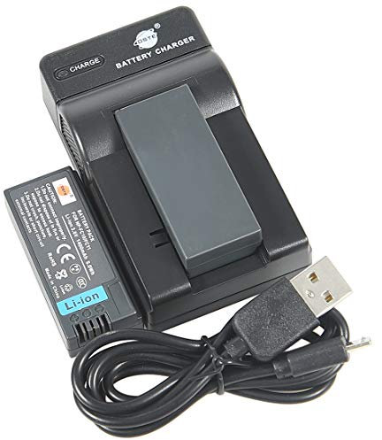 DSTE Lot de 2 batteries et double chargeur USB rapide compatible avec appareil photo Sony NP-FC10 NP-FC11 DSC-F77 DSC-FX77 DSC-P2 DSC-P3 DSC-P5 DSC-P7 DSC-P8 DSC-P9 DSC-P10 DSC-P12