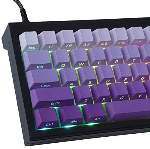 PBT Transparente Keycaps - Seitlich Gravierte Buchstaben, Lila Farbverlauf, 135 Tasten, ANSI & ISO Layout für Cherry MX Schalter Mechanische Tastaturen (Cherry Profil)