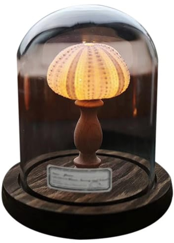 Koolenry DIY Night Light Mini LED Lamp Soft Lighting Flicker Free Nightstand Lamp Novelty Home Decor Great Present Idea Style:B