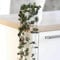 String of Hearts Indoor Trailing House Plant Unique & Undemanding Ceropegia Rosary Vine, String of Hearts (Ceropegia Woodii) Plants by Thompson and Morgan (1 x Plant in 8cm Pot)