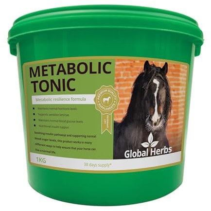 Global Herbs Metabolic Tonic Supplement 1 kg