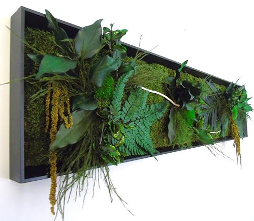 Tableau Végétal Stabilisé RIO sans Entretien - Décoration Murale d'Intérieur avec Plantes et Fleurs Éternelles, Fabriqué en France