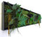 Tableau Végétal Stabilisé RIO sans Entretien - Décoration Murale d'Intérieur avec Plantes et Fleurs Éternelles, Fabriqué en France