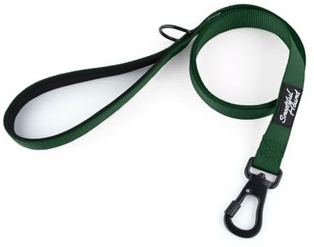 Snootiful Hound Secure Locking Dog Lead with Padded Handle - Carabiner Dog Leash - Anti Theft (Green, 120cm)