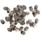 World of Sparkles Hotfix Iron on Skull Studs for Clothing Arts and Craft Fabric Leather Jewelry Making, 11.5mm, Gunmetal - 100pcs