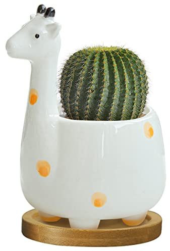 GeLive Giraffen-Sukkulenten-Übertopf für den Innenbereich, Tischplatte, Keramik-Blumentopf, Kätzchen-Ornament, Tier-Blumen-Dekor-Vase mit Drainageschale für Sukkulenten oder Mini-Kaktus