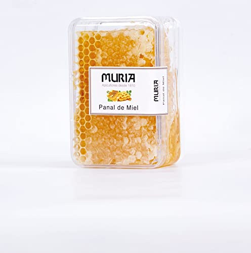 PANAL DE MIEL DE ROMERO 500gr.