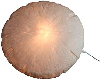 AM-Design Deko, Sandstein, Weiß, 63x63x16 cm