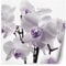 Feeby Papier Peint Intisse Fleur Orchidée 200x200 cm violet Moderne Panoramique XXL Photo Mural Muraux Chambre Bureau Salle Plante Nature Rosée