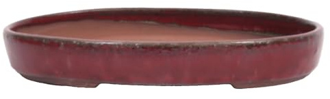 Bonsai-Shopping Bonsai - Schale, Waldschale, oval 25 x 18 x 4 cm Bordeaux 51336