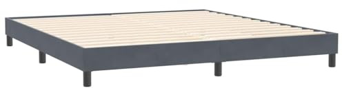 vidaXL Bettgestell ohne Matratze Dunkelgrau 200x210 cm Samt