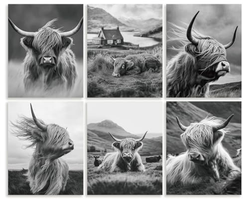 DOODLREAM 6 Packung Bauernhaus Highland Kuh Tier Ungerahmt Wasserdichte Leinwand Wandkunst Dekor 20 x 25cm Schwarz Weiß Wandposter Im Western Stil Rustikal Für Zuhause Büro Wohnzimmer