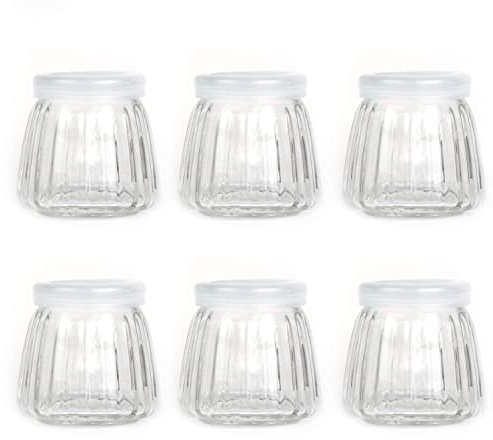 Danmu Art 6 Pcs Yogurt Pudding Glass Storage Jars with Plastic Lids Vertical Pattern Glass Bottles (100ml)