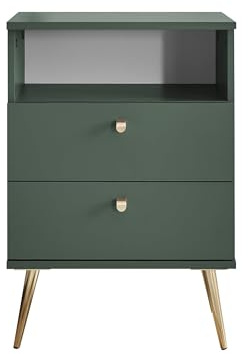 LAILA Nachttisch Nachtschrank in Tannengrün 50 x 70 x 34 cm (B/H/T) | Schlafzimmer Nachtkommode mit 2 Schubladen, offenem Ablagefach, Melamin, moderne Optik, stabile Füße