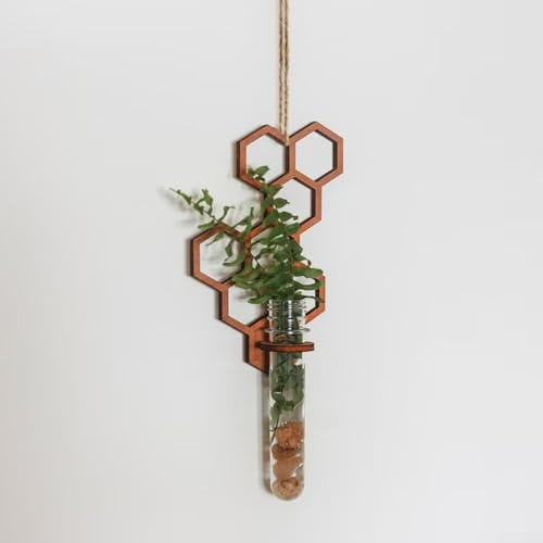 Creative For Honeycomb Reagenzglas Blumenvase mit Wandhalterung und Holzrahmen zum Organisieren von Pflanzen und zur Verbesserung der Wanddekoration in verschiedenen Wohnräumen