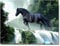 Puzzle Klassisches 2000 Teile Schwarzes Pferd am Wasserfall Puzzle 70X100cm（27.55 * 39.37inch）