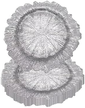 WedDecor Lot de 6 assiettes de présentation rondes avec design vintage, pour décoration de table, mariage, banquet, Noël, fête, 33 cm