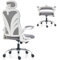 HOLLUDLE Ergonomischer Bürostuhl mit Klappbarer Rückenlehne, Schreibtischstuhl mit 2D Kopfstütze, Hochklappbaren Armlehnen und Mesh Lendenwirbelstütze Drehstuhl Computerstuhl, Weiß