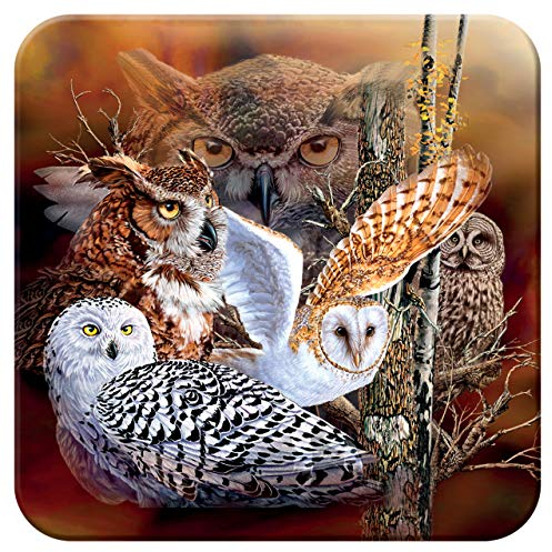 3D LiveLife Cork Coaster - Owl Woods from Deluxebase. Lenticular 3D Cork Wildlife Coaster. Non-slip drinks mat with original artwork licensed from renowned artist, Steven Michael Gardner