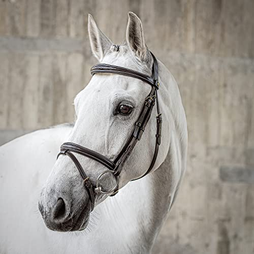 SUNRIDE Englisch kombinierte Trense für Pferde (London) - mit Zügeln - weiches Echtleder - extra Polsterung - anatomisch, verstellbar - handgefertigt - mit Ziernähten - rostfrei - braun (Pony)