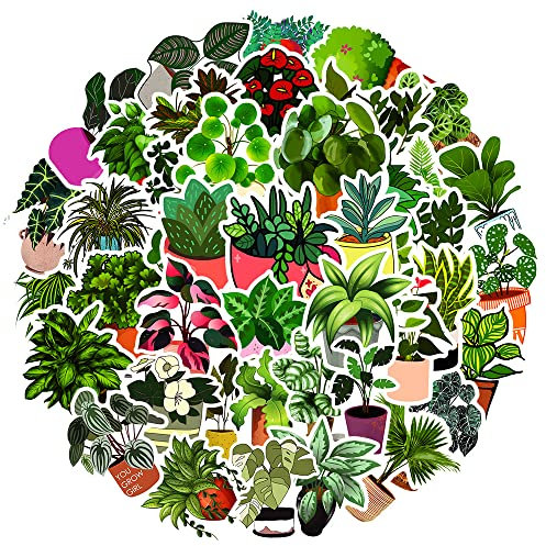 50 Stück Grüne Pflanze Aufkleber Wasserfeste AestheticTopfpflanzen Sticker für Wasserflasche Laptop Scrapbook Skateboard Computer Auto Fahrrad Motorrad Gepäck,Cute Plants Decal für Mädchen Erwachsene
