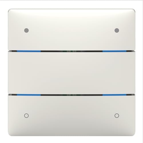 Theben 4802414 I LUXORliving iON4 SR I Tastsensor mit 4 Tasten in Silber I Für KNX Smart-Home System LUXORliving I integrierter Temperatursensor I Taster I Schalten/Dimmen/Jalousie