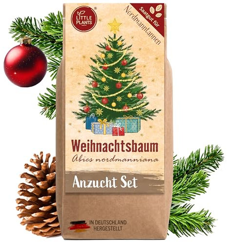 Little Plants Weihnachtsbaum Anzuchtset - Christbaum, Adventskalender Füllung, Wichtelgeschenk, Weihnachtsbaum in der Dose, Adventskalender befüllen Inhalt, Tannenbaum Geschenk Set (Variante 2)